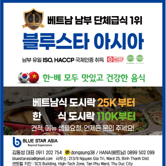 company-service-intro